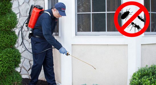 Çan Dezenfeksiyon böcek ilaçlama ve haşere kontrolü — ilaclama-tr.com